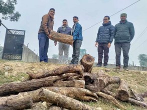  चिसो कारण जनजीवन प्रभावित बन्दै गएपछि सरावल गाउँपालिकाद्वारा दाउरा वितरण